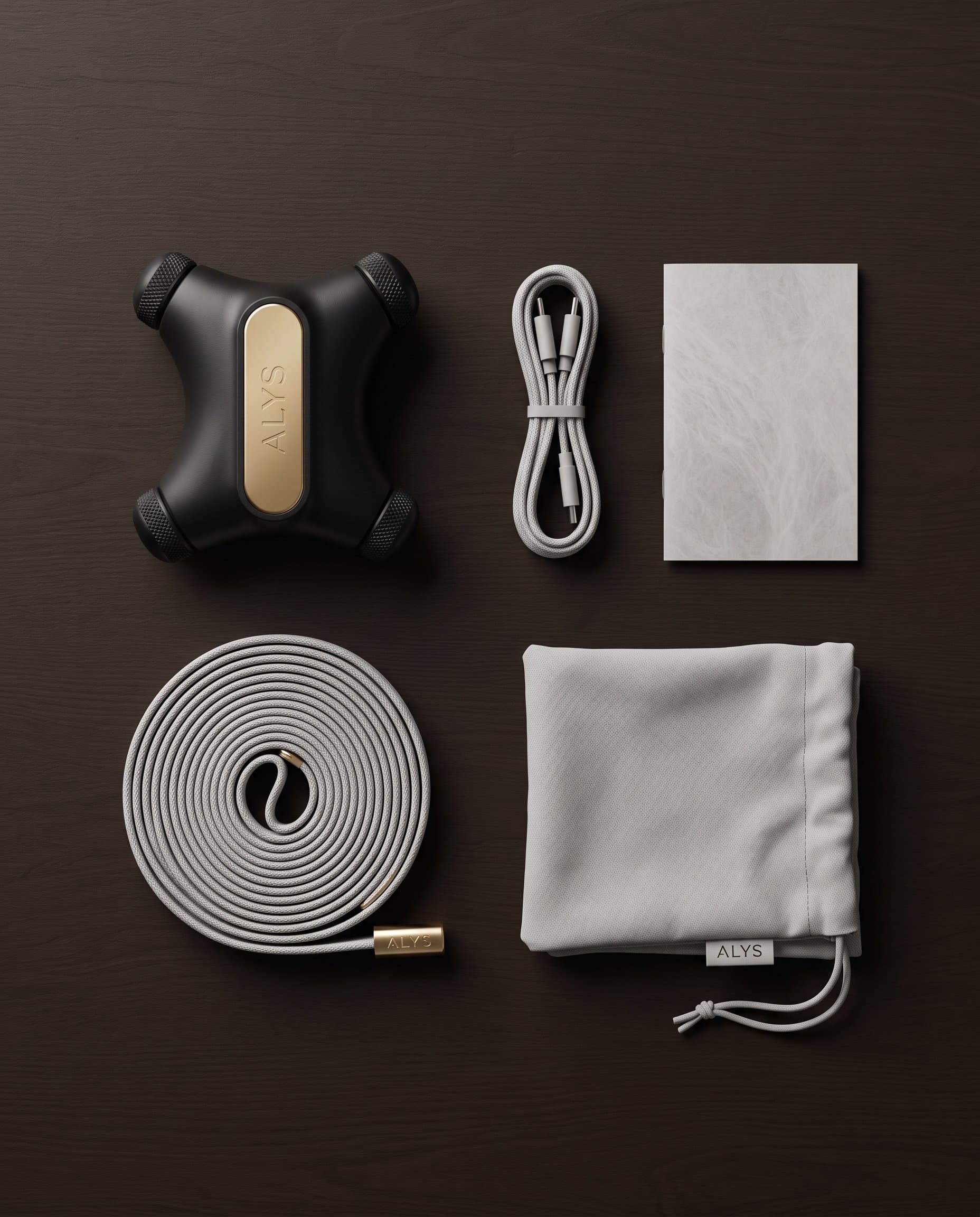 ALYS CORE unboxing flat lay — device, cable, guide, pouch